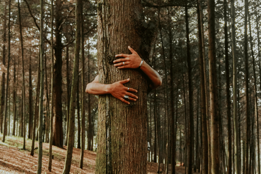 REGENERATIVE EFFORTS | Nurturing Our Planet Together