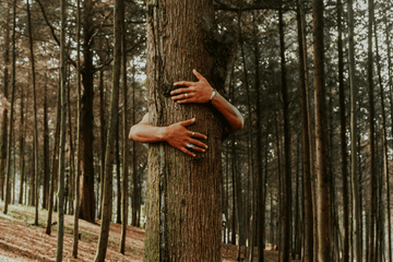 REGENERATIVE EFFORTS | Nurturing Our Planet Together