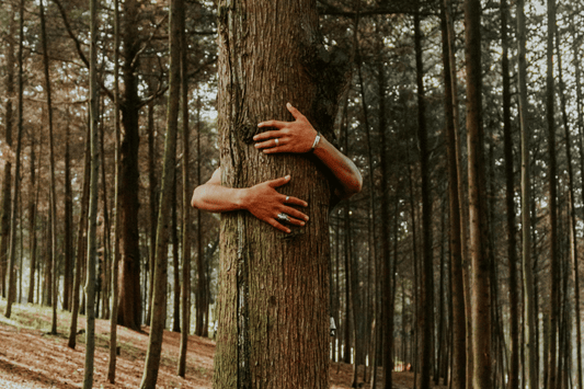 REGENERATIVE EFFORTS | Nurturing Our Planet Together