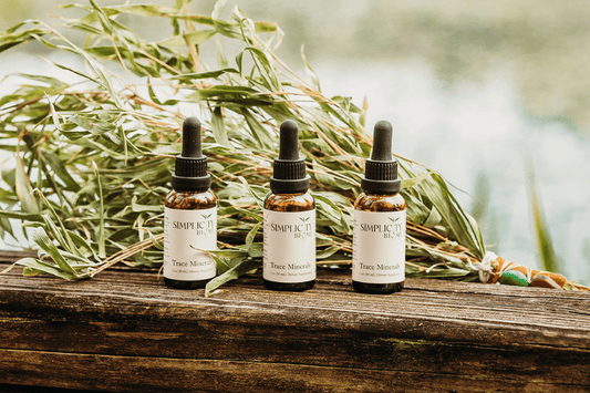 Trace Minerals Are Essential: Why the Body Depends on More Than Just Vitamins