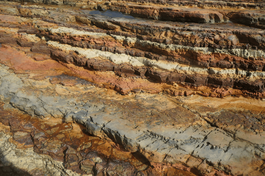 Fulvic Minerals vs. Trace Minerals: What’s the Difference?