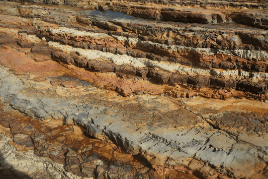 Fulvic Minerals vs. Trace Minerals: What’s the Difference?