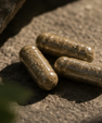 Flow | Focused Kanna Capsules
