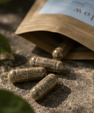 Flow | Focused Kanna Capsules