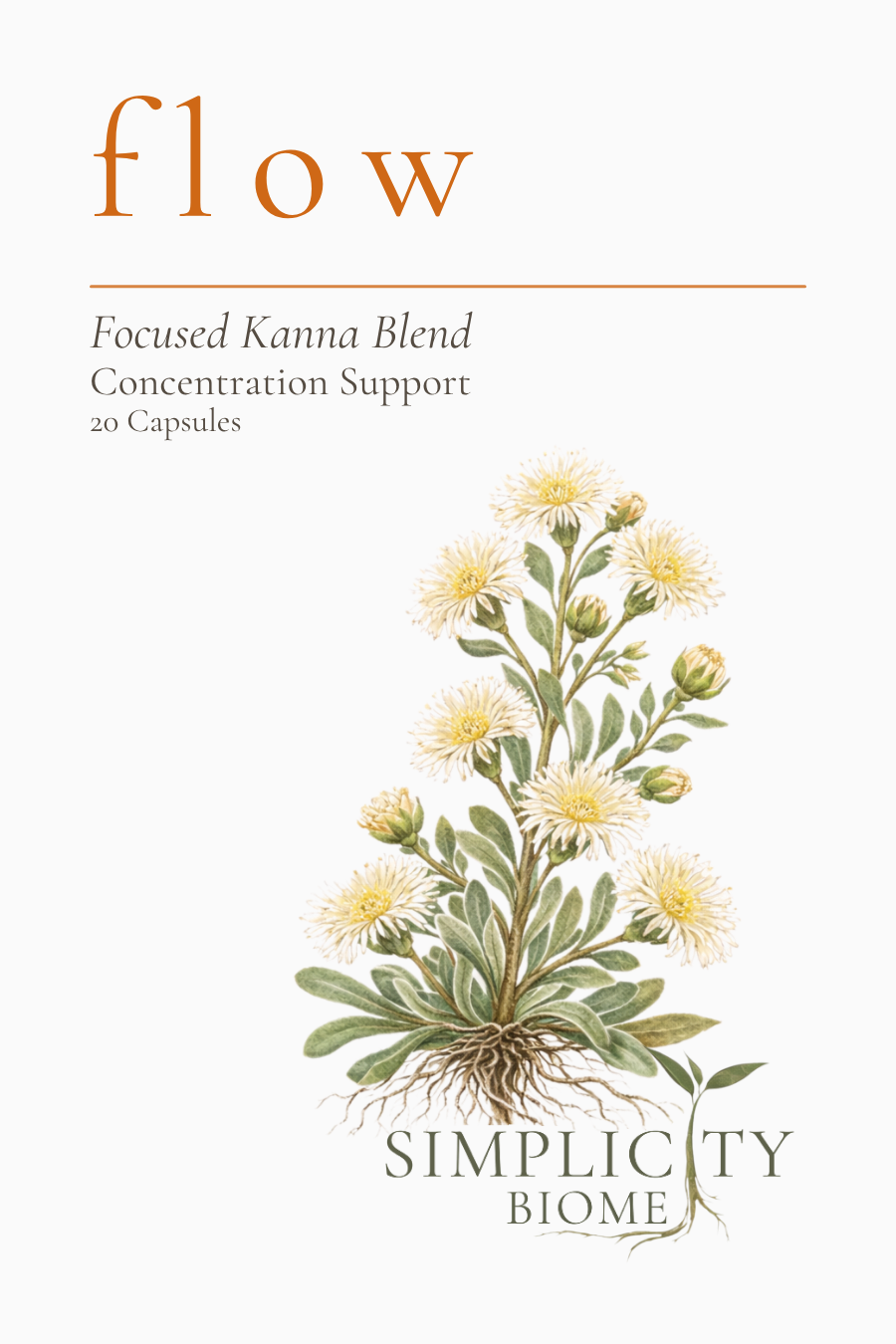 Flow | Focused Kanna Capsules