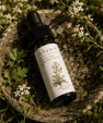 Kanna Drops | Liquid Botanical Extract