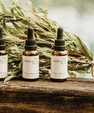 Daily Essential Mineral Drops (1 Bottle = 2 Month Supply)